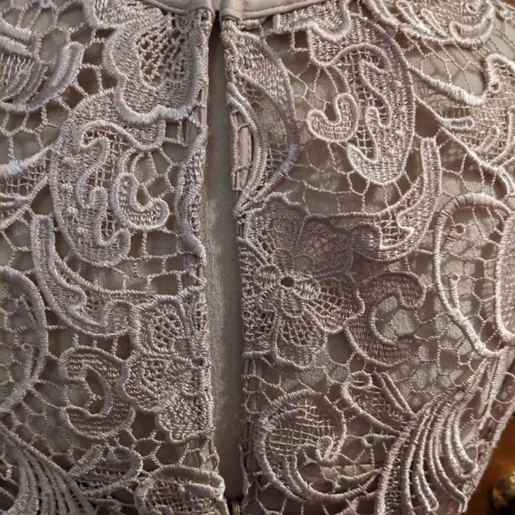 ADRIANNA PAPELL MOTHER OF THE BRIDE LACE DRESS SIZE 4 - Picture 3 of 4